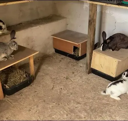 Casa Azul Rum i privatbostad *