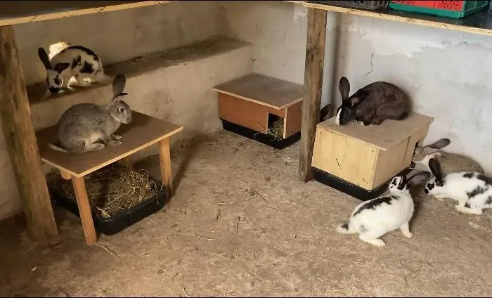 Casa Azul Alloggio in famiglia *