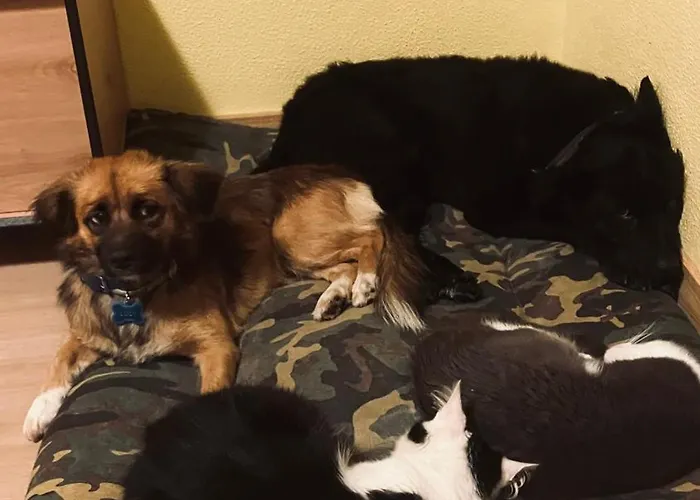 Casa Azul São Vicente